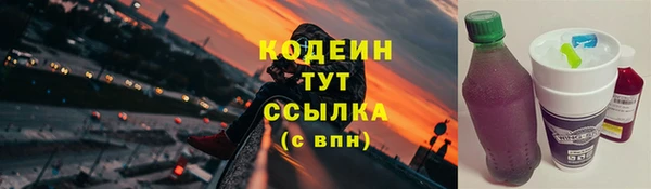 PSILOCYBIN Бородино
